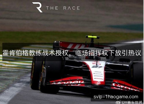 霍肯伯格教练战术授权，临场指挥权下放引热议