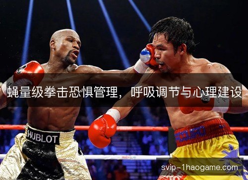蝇量级拳击恐惧管理，呼吸调节与心理建设